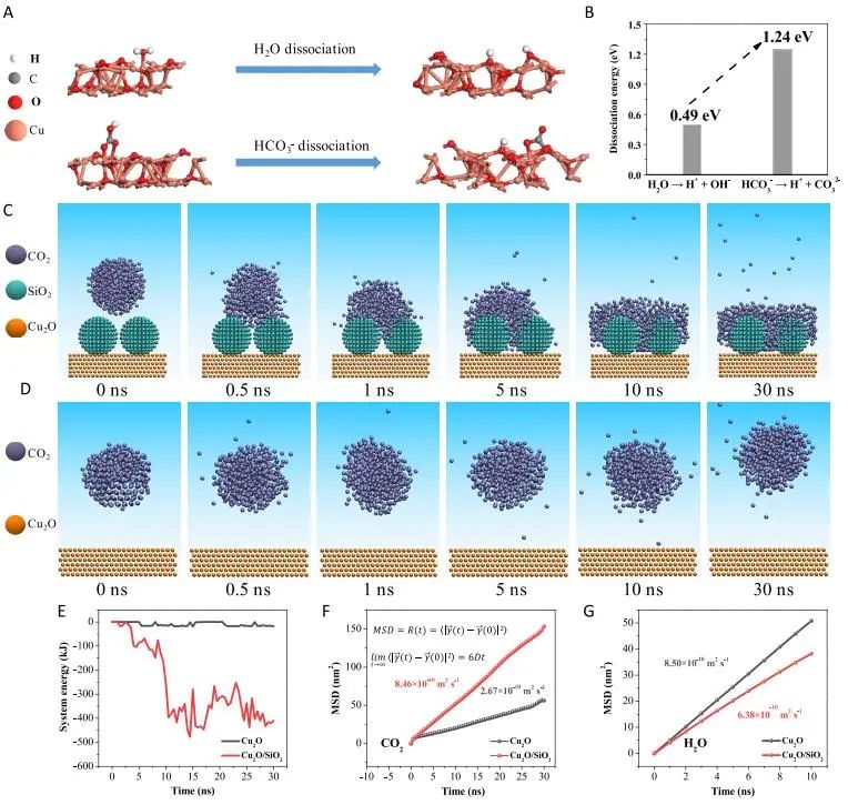 催化顶刊集锦：JACS、AEM、AFM、Adv. Sci.、ACS Catal.、ACS Nano、Small等成果