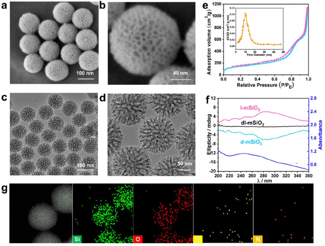 赵东元院士，最新JACS！