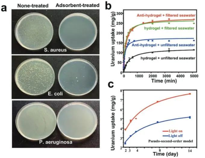 催化顶刊集锦：Angew.、JACS、AM、AFM、Small等成果精选！