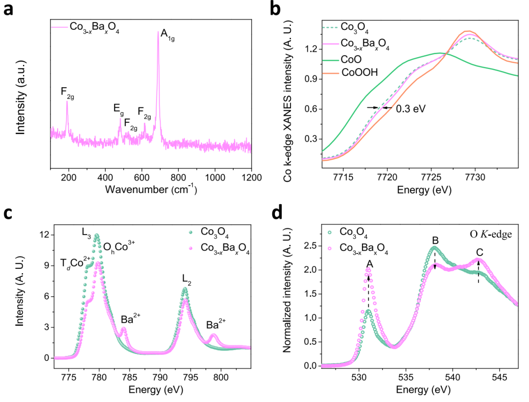 超燃！他发表第16篇Nature Catalysis，第36篇JACS！