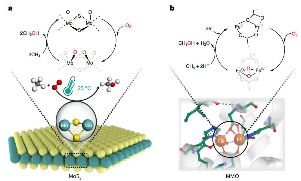 计算文献速递：Nature Catalysis、EES、JACS、Chem、EnSM、Nat. Commun.等！