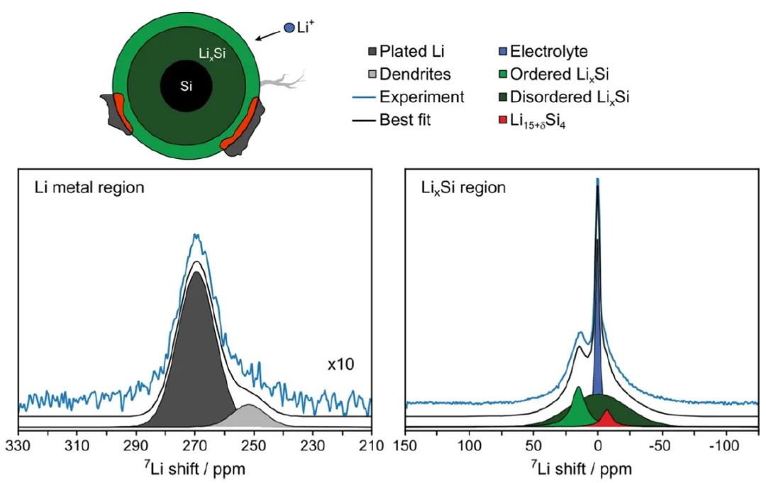​JACS：快充和长循环期间中硅负极演变的原位NMR研究