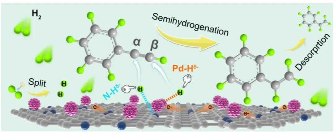 ​吉大乔振安教授AM：活性近100%！Pd@PPy-600助力苯乙炔半加氢