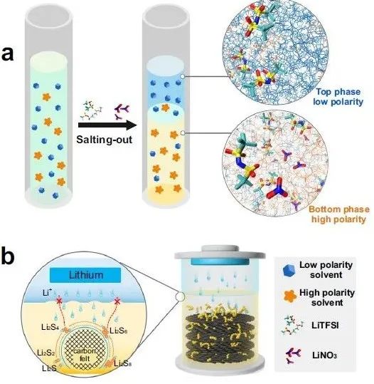 苏大晏成林团队，最新Nature子刊！