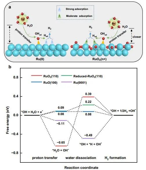 Nature子刊：计算+原位拉曼！揭示界面水及Ru表面中间体在碱性HER中的作用