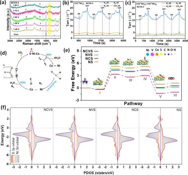 催化日报顶刊集锦：Angew./AFM/Small Methods/NML/ACS Catal./ACB等成果