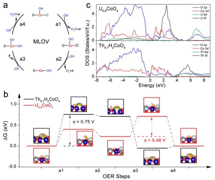 8篇催化顶刊：JACS、ML、JMCA、Small Methods、Small、Appl. Catal. B.等成果