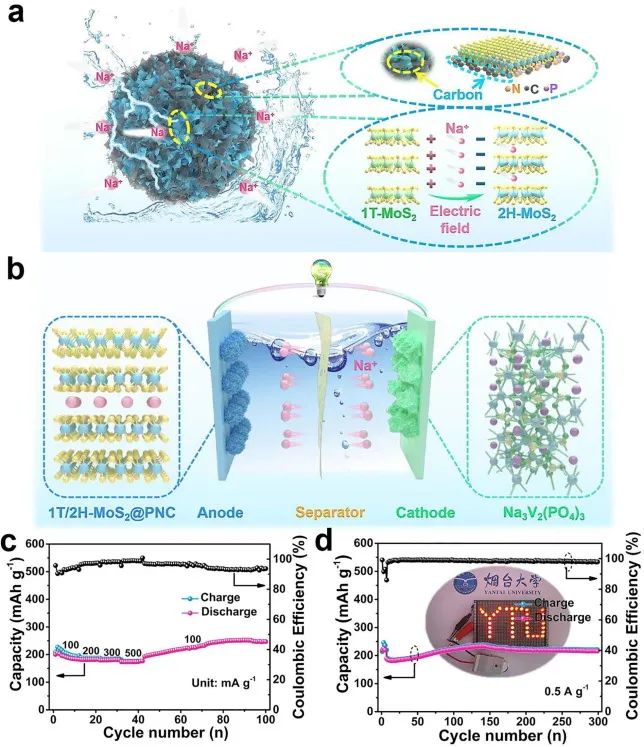 8篇催化顶刊：Angew.、AFM、Small、Appl. Catal. B.、Chem. Eng. J.等