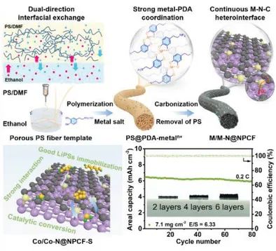 余彦/缪月娥Adv. Sci.: 通用的纺丝-配位策略实现高性能3D打印锂硫电池