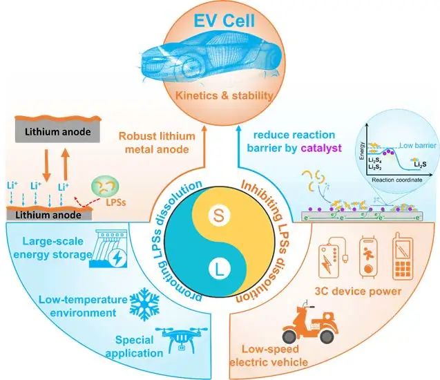 晏成林/钱涛AM综述：一文读懂，锂硫电池中多硫化物该不该溶？