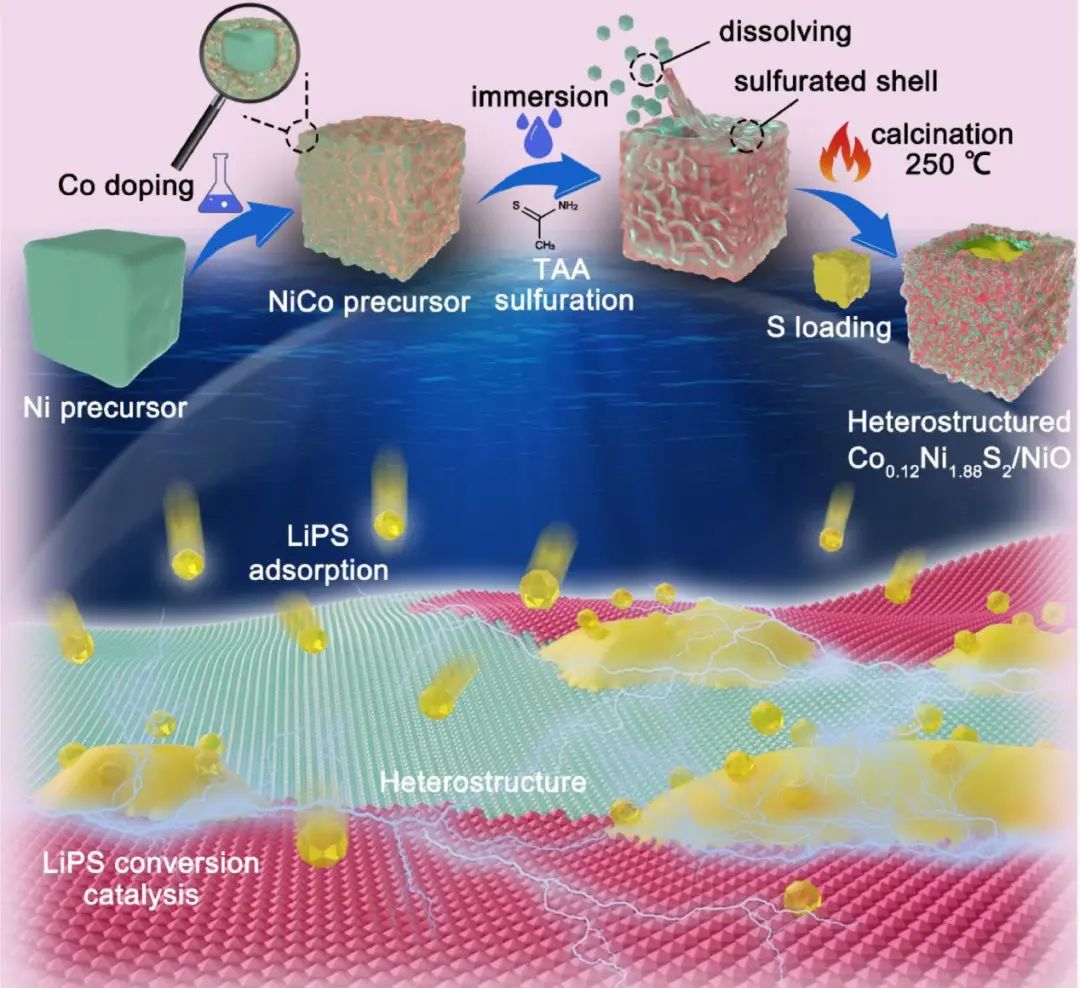 陈泽祥/王艳EnSM：异质结构硫主体协同促进锂硫电池多硫化物吸附和转化