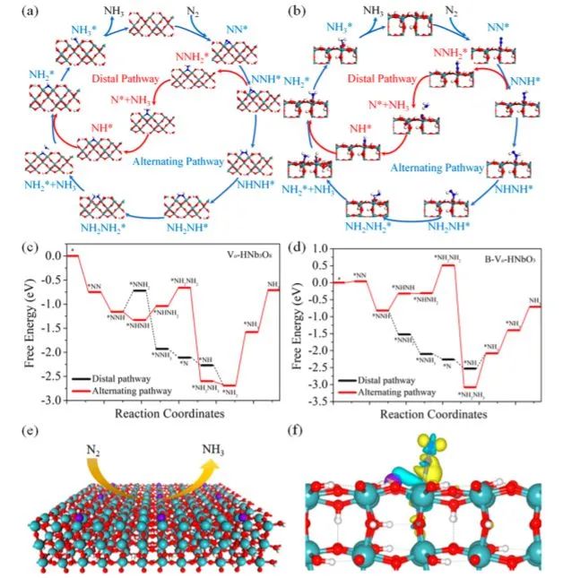 8篇催化顶刊：Nat. Commun.、Nano Lett.、ACS Nano、Small、Chem. Eng. J.等成果