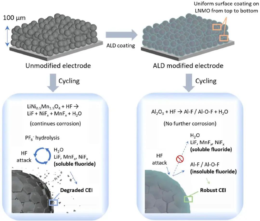 电池日报|| 8篇顶刊！EES、Sci. Adv.、AEM、AFM、ACS Nano、EnSM等成果