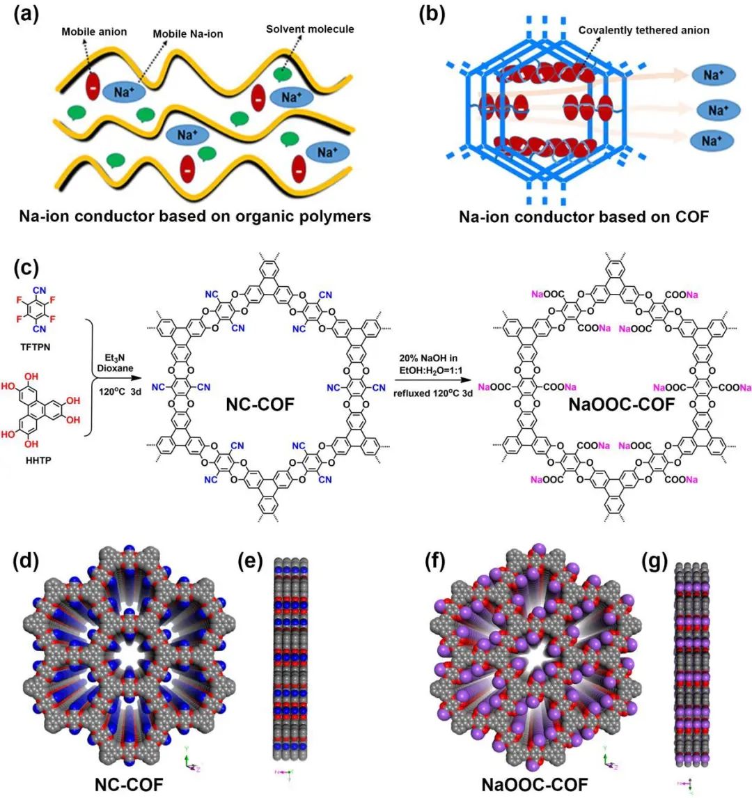 孙学良院士/郭洪/吕鹏鹏Nano Energy：功能化COF基电解质加速Na+扩散并抑制枝晶生长