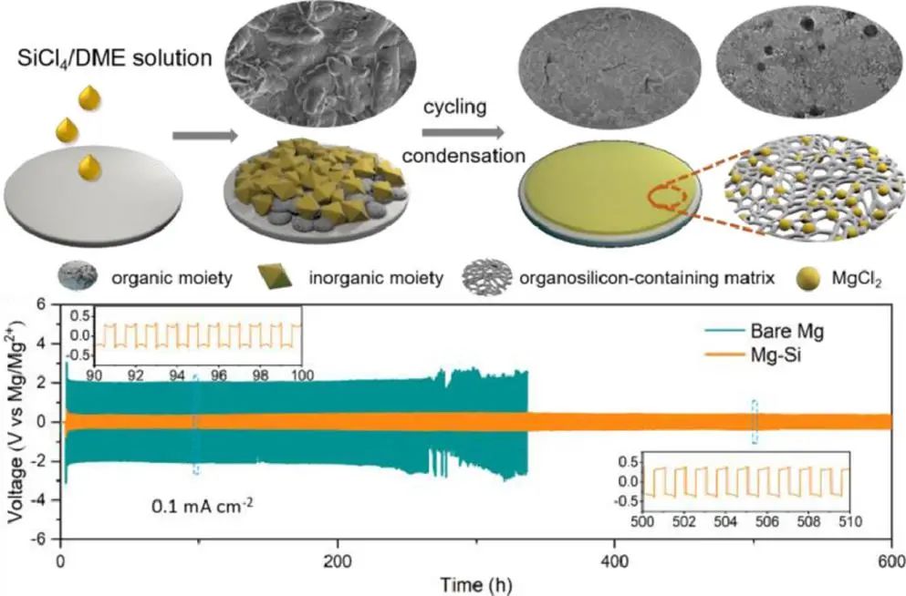 上硅所李驰麟EnSM: 耐用异质SEI实现传统电解液中的可逆镁金属负极