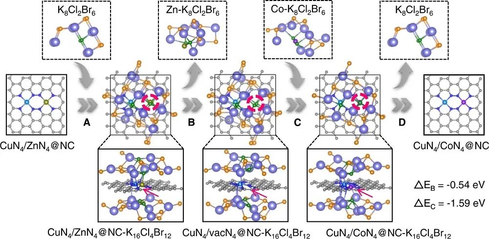 李映伟&房瑞琪，最新Nature子刊！