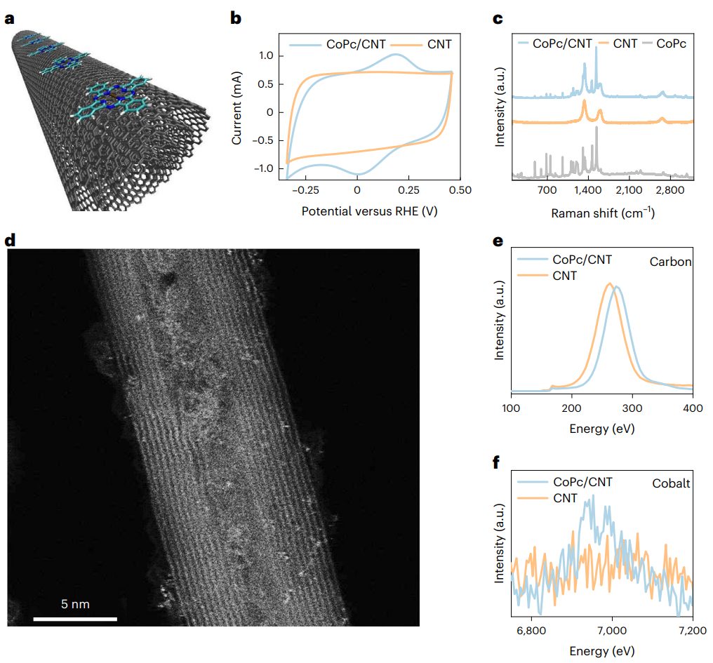 投稿到接收仅半年！耶鲁大学王海梁团队，最新Nature Nanotechnology！