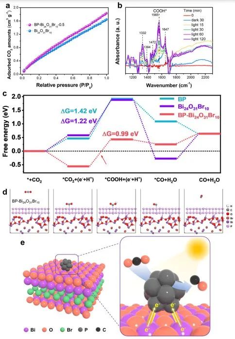 ACS Catalysis：表面和界面双极化促进BP-Bi24O31Br10高效光催化CO2RR