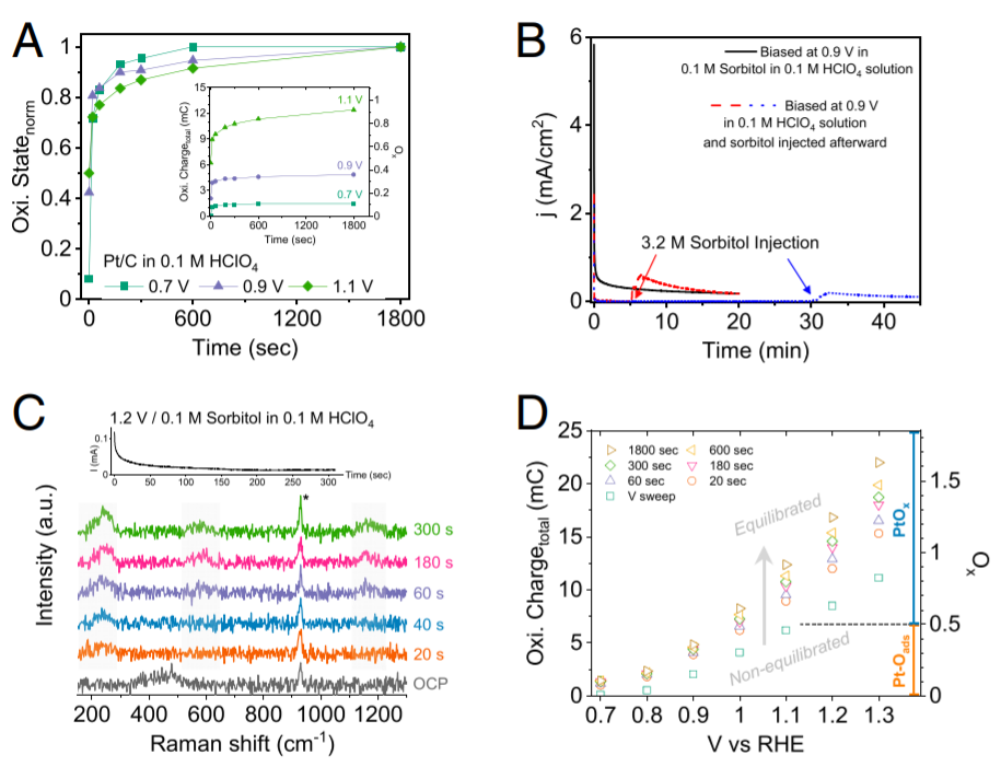 PNAS：电催化新概念！电位循环，产物蹭蹭蹭往上涨！