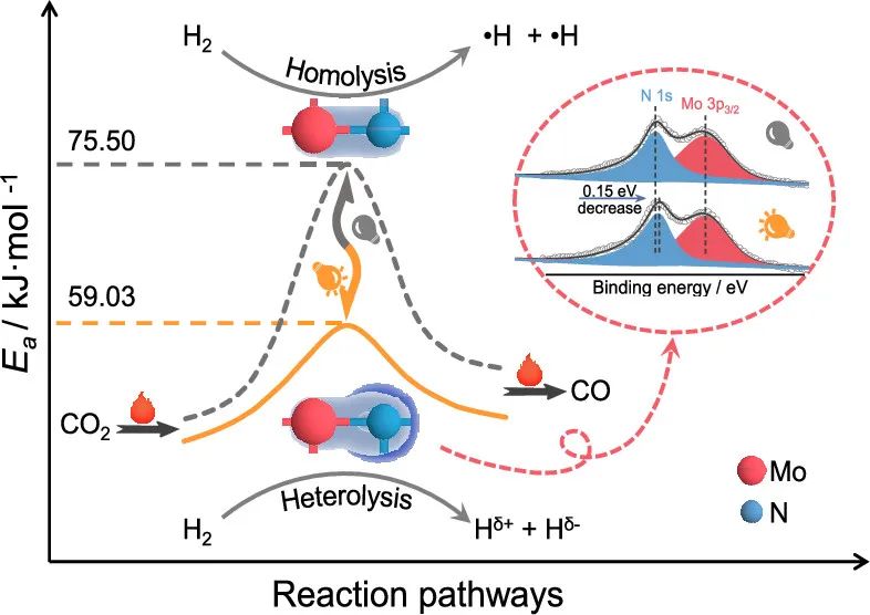 催化精选，8篇顶刊：JACS、Angew.、ACS Energy Lett.、ACS Nano及ACS Catal.