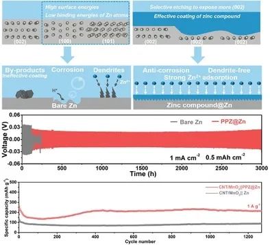 王亚平AFM：具有织构晶面和功能性锌化合物涂层的稳定锌金属负极