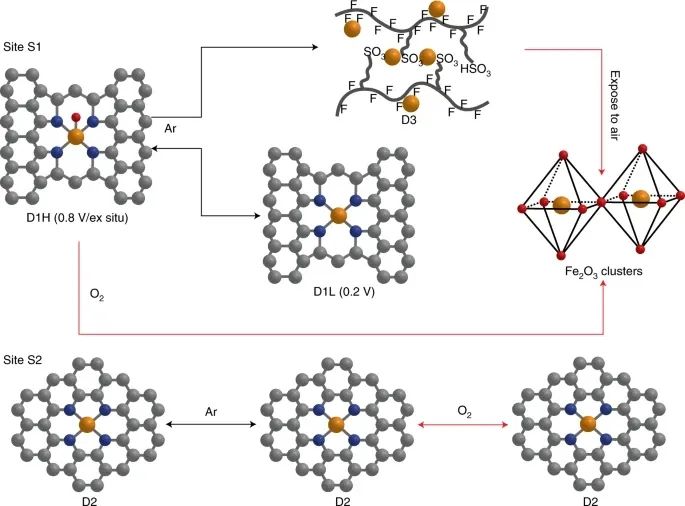 Nature Catalysis：是谁变了性？对Fe-N-C催化剂原位降解的理解