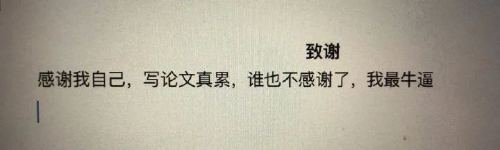 花样毕业论文致谢！感谢我导：如果不是他，我早毕业了……