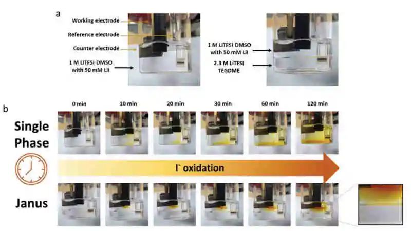 最新AEM：锂氧电池可持续氧化还原调节的液基Janus电解液