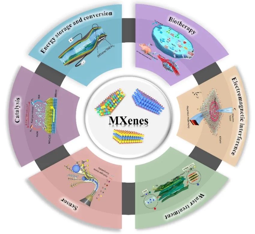 吉林大学最新MXenes综述：用于下一代技术的制备策略和构效关系的进展与展望