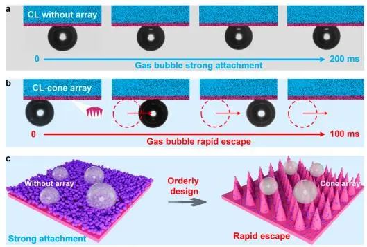 ​苏州纳米所Nano Letters：开发有序膜电极组件，增强质子交换膜质子和物质传输用于高效水电解