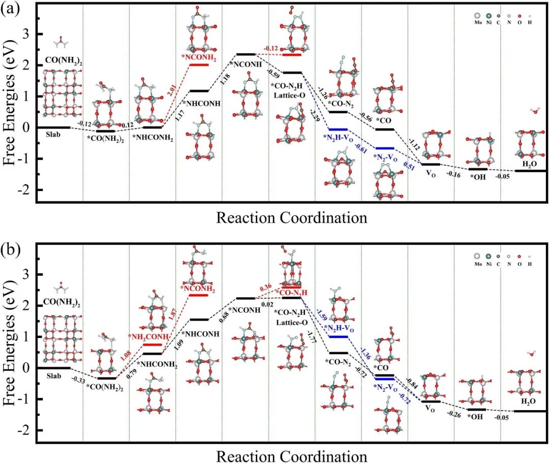 ​催化顶刊速递：Angew.、AFM、AEM、Sci. Adv.、ACS Catalysis等！