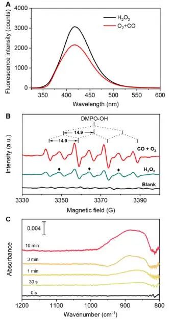 催化顶刊集锦：JACS、Nature子刊、Adv. Sci.、Nano Energy、ACS Nano等