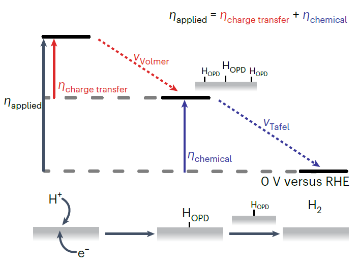 Nature Catalysis：直接由极化曲线获取过电位，你可能忽略了太多！