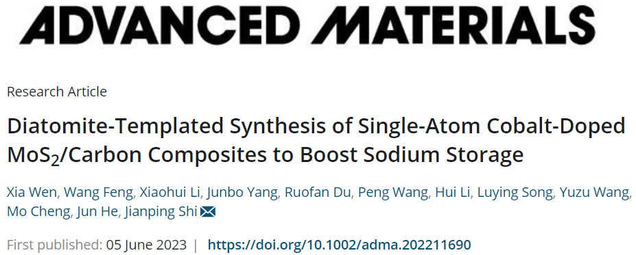 史建平团队AM：SA Co-MoS2/C复合材料实现高性能钠的储存