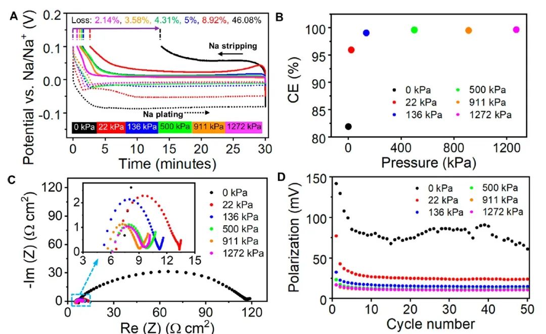 ACS Energy Letters：压力对钠金属的沉积形态和稳定性至关重要