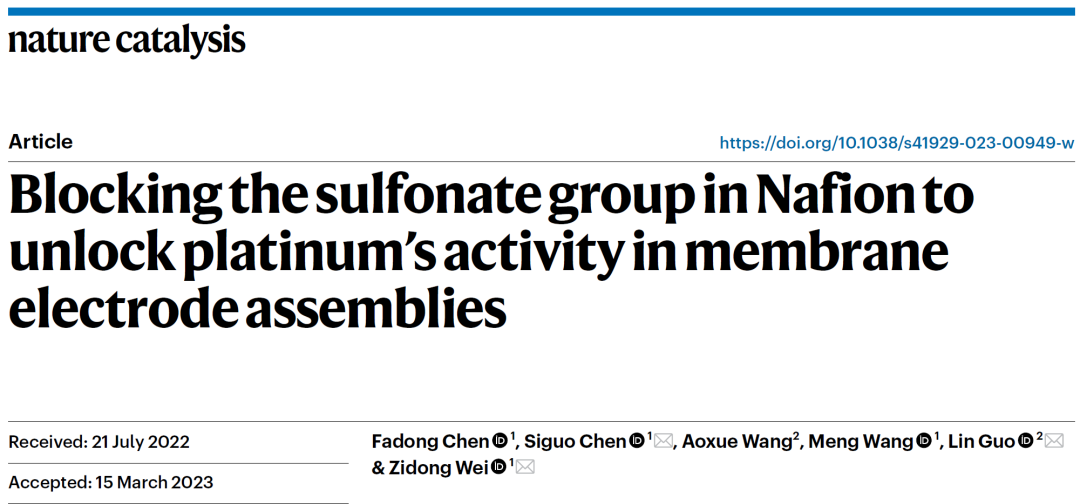 陈四国/魏子栋等，最新Nature Catalysis！