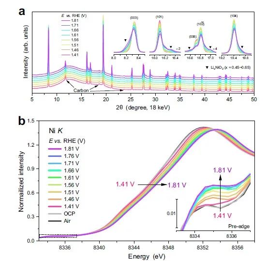 张林娟团队，最新Nature子刊！