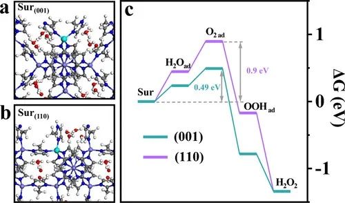 催化顶刊集锦：Nature子刊、JACS、ACS Catalysis、AEM、JMCA等成果！