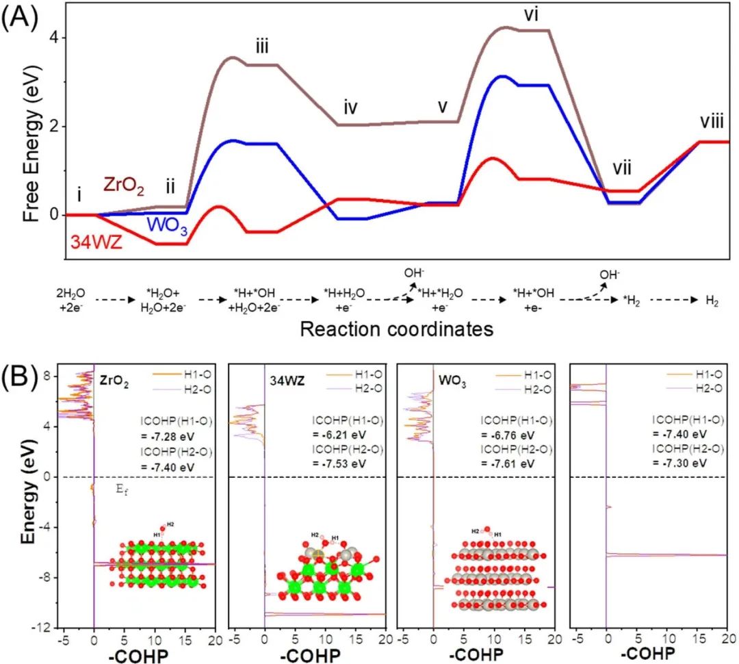 催化顶刊集锦：JACS、ACS Catalysis、Small、JMCA、CEJ、Angew、Carbon Energy等成果