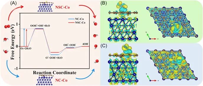 三单位联合Carbon Energy：氮/硫共掺杂碳纳米空心球链包封钴纳米颗粒用于高效氧电催化