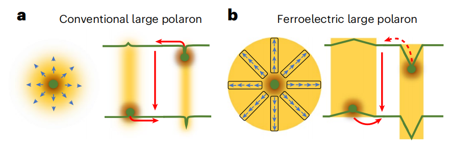 段镶锋教授/平远教授，最新Nature Nanotechnology！