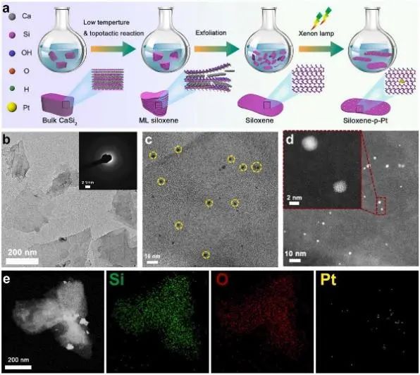 8篇催化顶刊：Angew.、Small、Nano-Micro Lett.、Appl. Catal. B.等成果