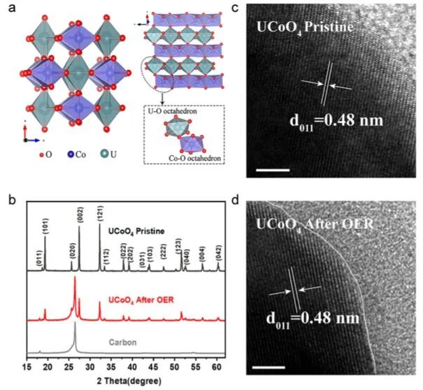 8篇催化顶刊：JACS、ML、JMCA、Small Methods、Small、Appl. Catal. B.等成果