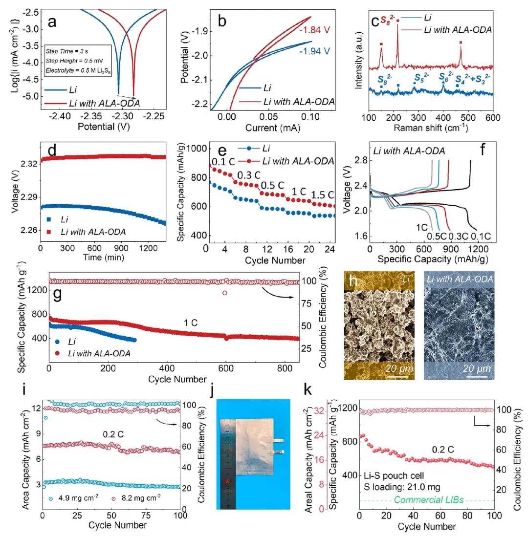 ACS Nano：离子选择性涂层保护锂负极，助力实用锂硫电池！