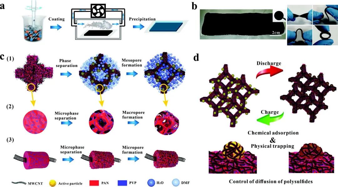 川大/应化所Adv. Sci.：精心设计粘结剂体系构建高性能柔性硫正极！