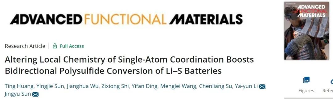 孙靖宇/李亚运AFM：双向电催化剂，助力高负载锂硫电池！