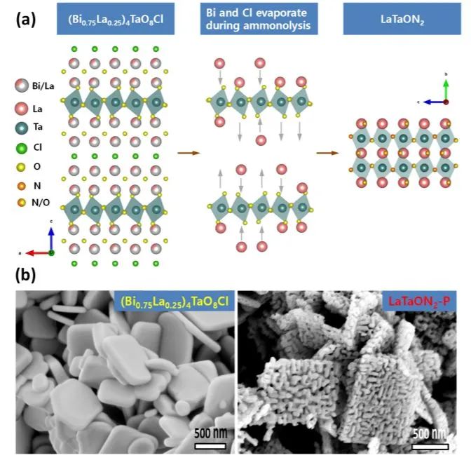 同济徐晓翔ACS Nano: LaTaON2介孔单晶用于高效光催化水氧化和Z型全分解水