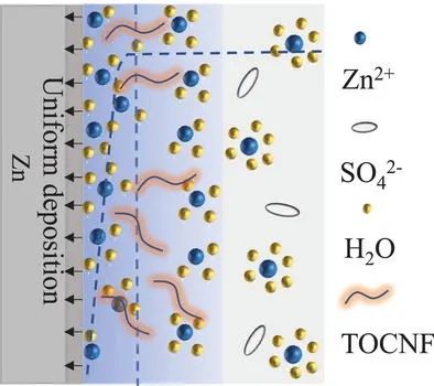 支春义教授Small: 基于薄隔膜的稳定锌负极界面改性机理研究