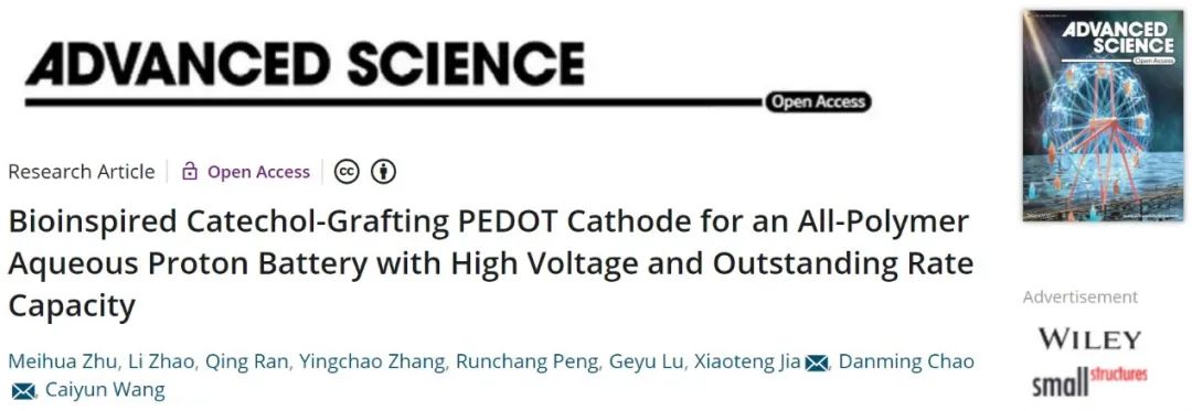 吉大晁单明/贾晓腾Adv. Sci.：具有优异电化学性能的全聚合物水系质子电池