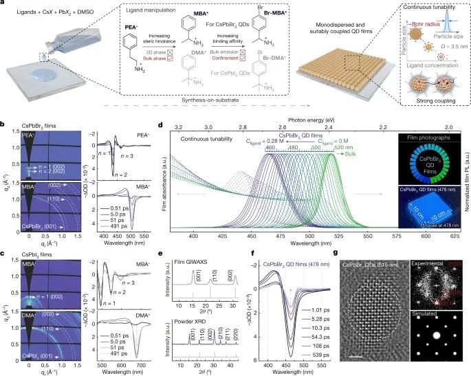 南开大学，最新Nature！